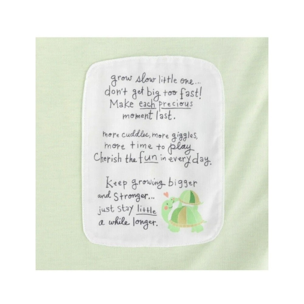 Demdaco Grow Slow Little One Graphic Text Baby Blanket Green Stripes Small Dino